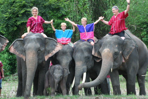 Chiang Mai Elephant Safari